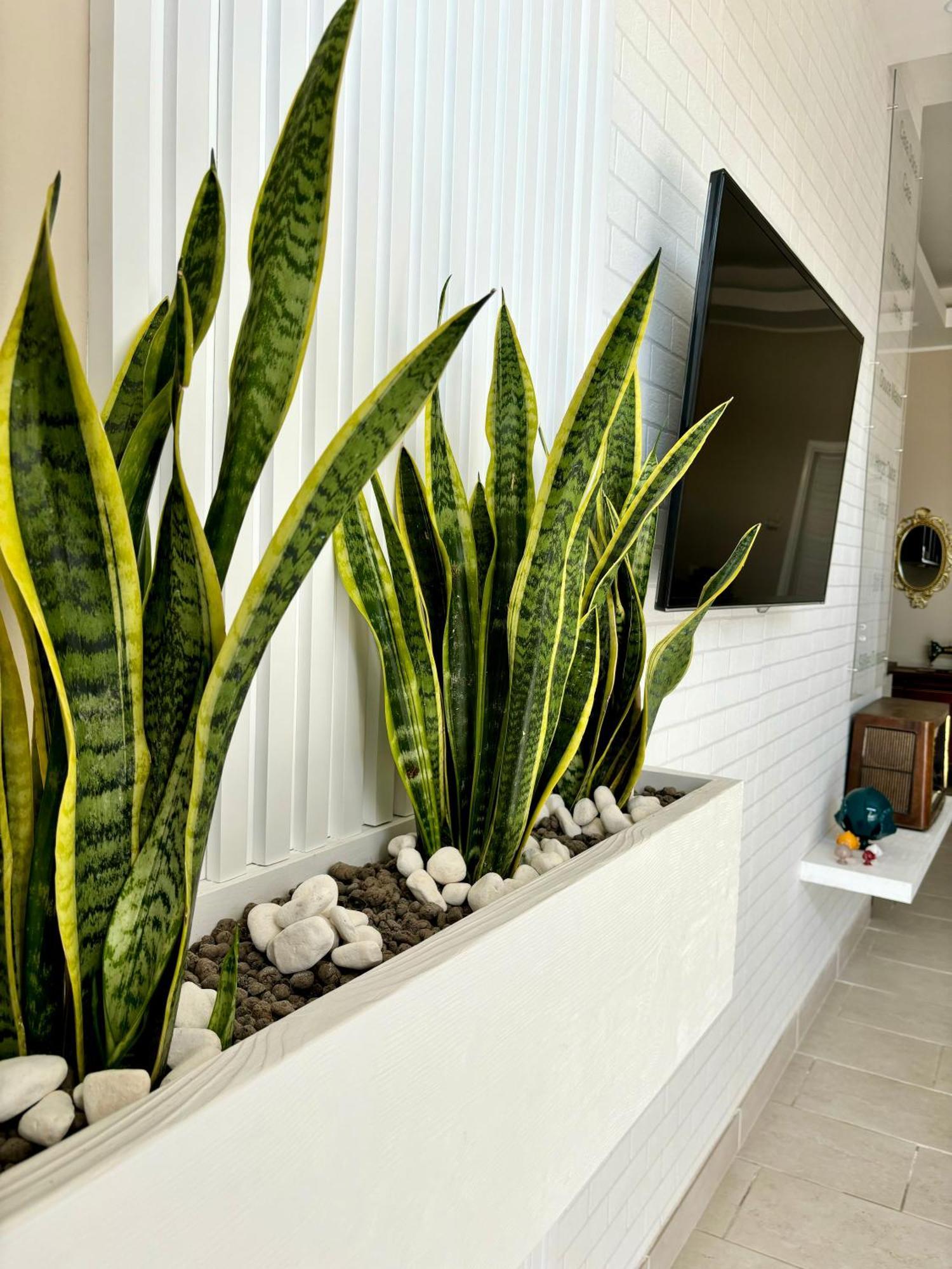 B&B Casa Dolce Casa Нардо Экстерьер фото